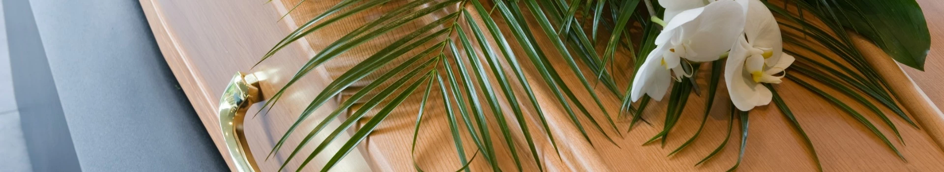 biały kwiat na trumnie